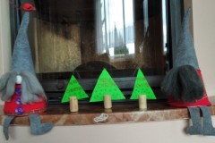 IMG_20201207_091204