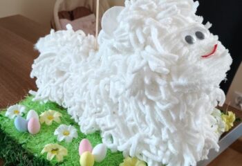 IMG20260313134441 — kopia